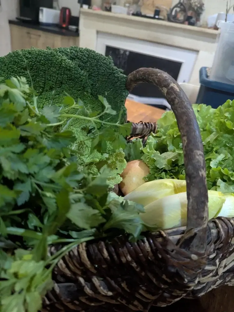 Légumes divers animaux de l'empreinte gironde